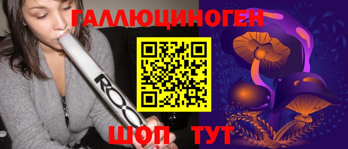 Галлюциногенные грибы Psilocybe Чита